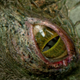 Illustration for article titled Detailed breakdown of Spider-Mans new trailer shows off the Lizard!
